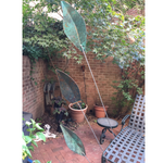 Leaf Pendulum - Extra Large